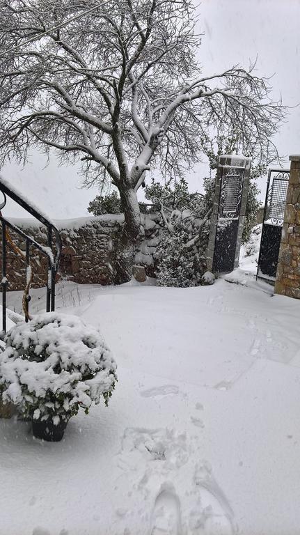 Apartment Katsarou
